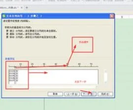 wps数字镜像 | wps能做那种镜像反