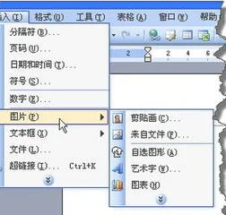 在wps中批量处理 | wpsWord中批量