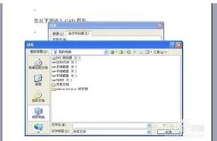 wps把cad图放进去 | 在wps文档中插