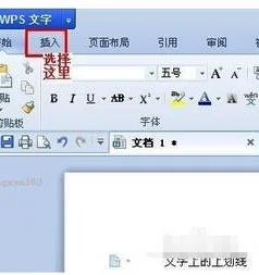 在wps中加直线 | 在WPS里打出一条