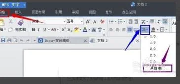 wps表格里的段落设置 | wps表格中