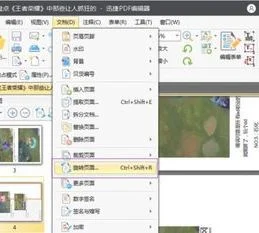 WPSPDF反的旋转 | wps打开pdf文件