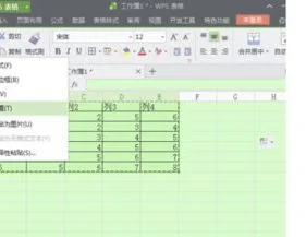 将wps表格中的数据旋转 | wps中将E