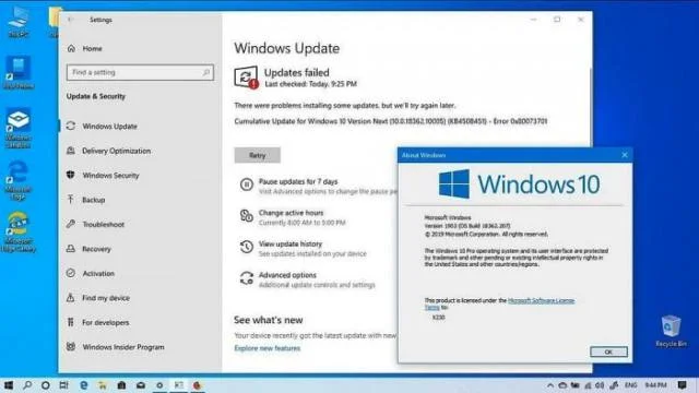 Win10更新KB4524570无法安装