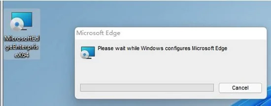 Win11系统flash运行异常修复失败怎