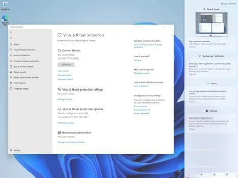 Win11账户停用了怎么办？Win11显示你