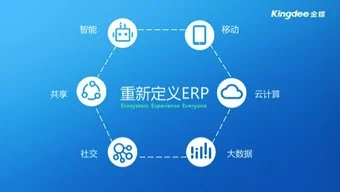 金蝶需要缴活