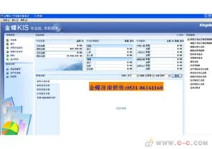 关于金蝶kis标准版论文