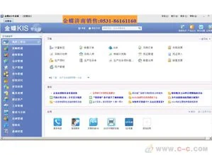 标准版,金蝶,论文,kis