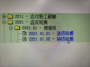 金蝶会计科目编码代码 | 在金蝶KIS