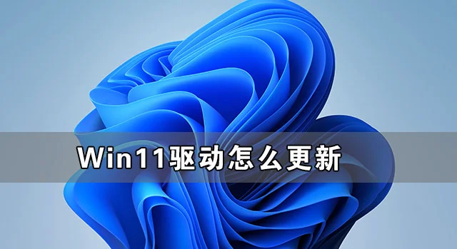 win11兼容性视图设置在哪 | win11如何设置ie兼容性视图