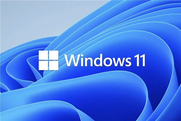 win11预览版和正式版区别 | window