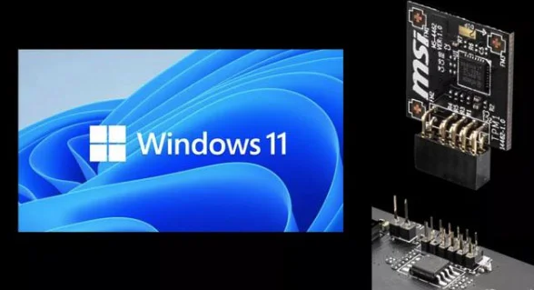 想更新Win11系统怎么查询TPM版本？ |