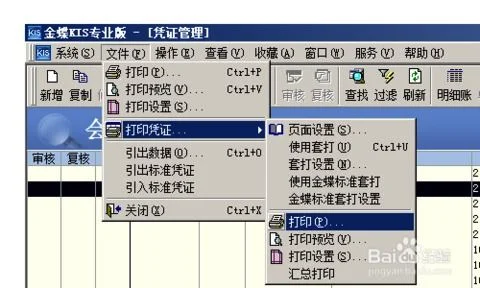 金蝶财务软件如何连续打印每月记账