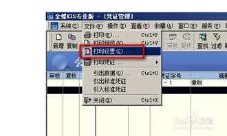 记账,凭证,财务软件,金蝶