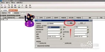 金蝶,功能