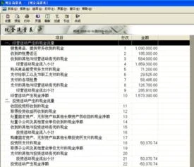 金蝶专业版现金流量表如何导出 | 现金流量表提取有谁知道金蝶财务软件KIS迷你版8.0,现金流量表爱问