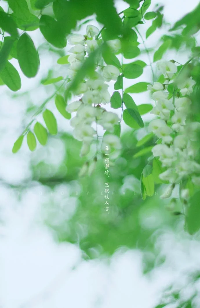 手机壁纸 | 手机壁纸软件