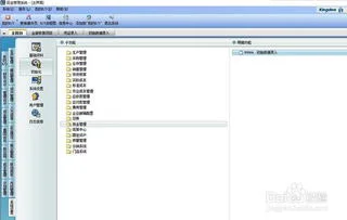金蝶ais格式如何导入鼎信诺 | 引用