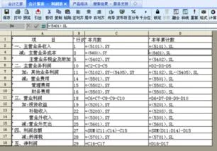 金蝶利润表财务费用.sy | 金蝶kis