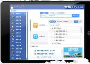 金蝶软件旗舰版说明书 | 金蝶KIS系