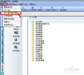 入库,金蝶,格式