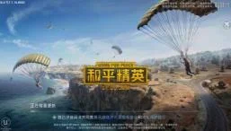 和平精英金币使用方法图解