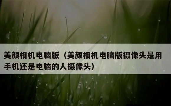 美颜相机电脑版(美颜相机电脑版摄像头是用手机还是电脑的人摄像头)