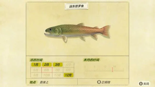 动物森友会远东哲罗鱼时间 | 远东