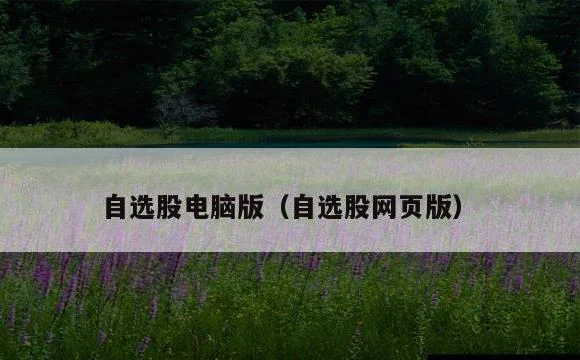 自选股网页版 | 自选股电脑版