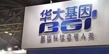 深圳华大基因金蝶湖南人 | 深圳华大基因科技有限公司怎么样