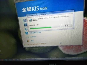 金蝶专业版13.0免费 | 金蝶kis12.3