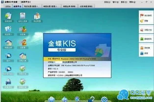 金蝶kis专业版v13.0破解 | 金蝶怎