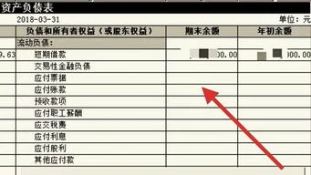 金蝶迷你报表公式DF什么意思 | 金