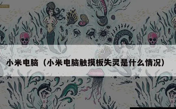 小米电脑触摸板失灵是什么情况 | 