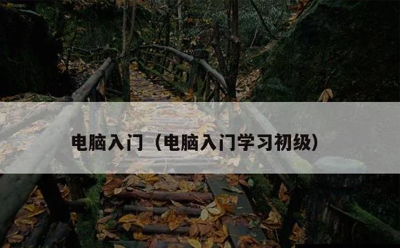 电脑入门学习初级 | 电脑入门
