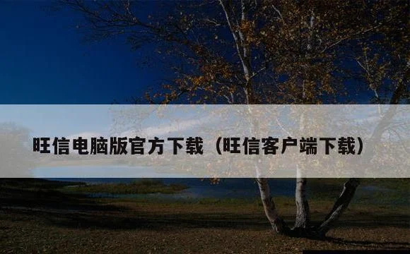 旺信客户端下载 | 旺信电脑版官方下载