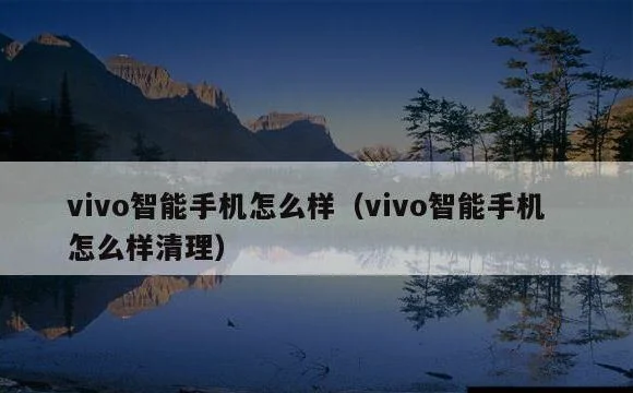 vivo智能手机怎么样清理 | vivo智能手机怎么样