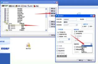 金蝶口软件中怎么输入负数 | 金碟