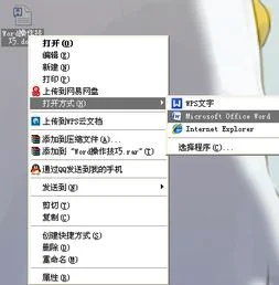 wps文件如何不能移动复制粘贴 | WP