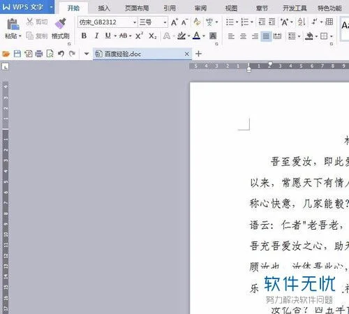 形式,文档,如何在,WPS