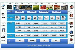 wise金蝶增员 |