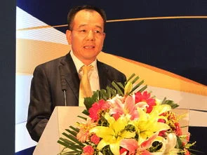 金蝶,国际,ceo