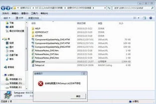 为什么金蝶打字出现错误 |
