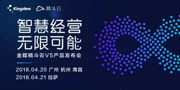 利剑,浪潮,金蝶,精斗云都赞