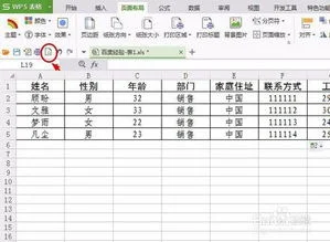 表格,一键,打印,wps