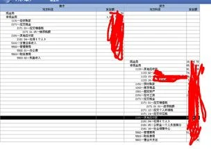 金蝶增值税可以设借方