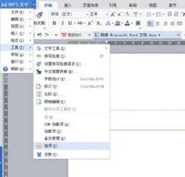 如何将wps打开的文档独立窗口 | wp