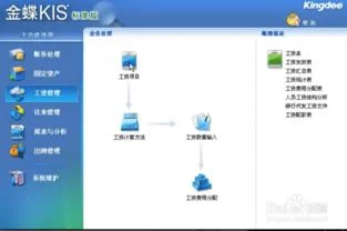 金蝶工资录入没有生份证号 | 金蝶K