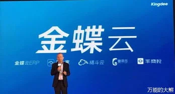 金蝶云服务的主要功能 |